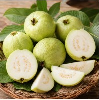 *Semi-Ripe White Guava (Satva Farm)